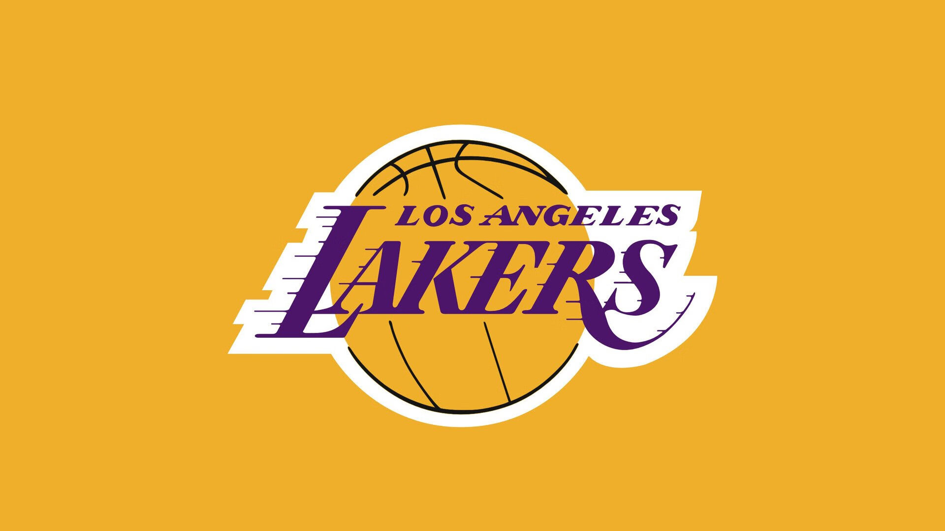 突破极限,2023年国际马拉松赛事创下新纪录,业余选手表现亮眼